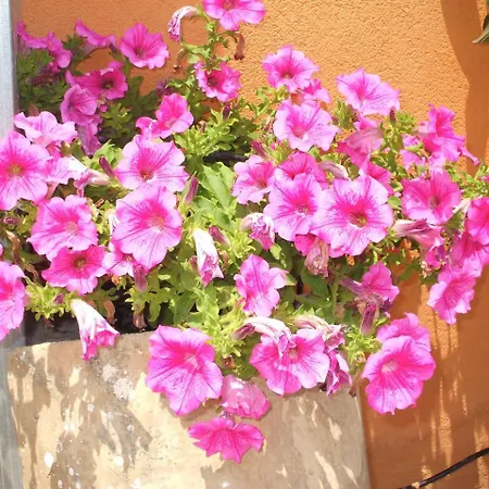 Maria Giovanna Bed & Breakfast